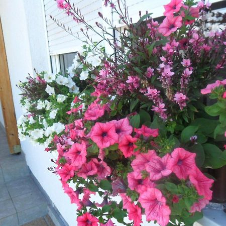 Guesthouse Sara กราโบวาซ ภายนอก รูปภาพ