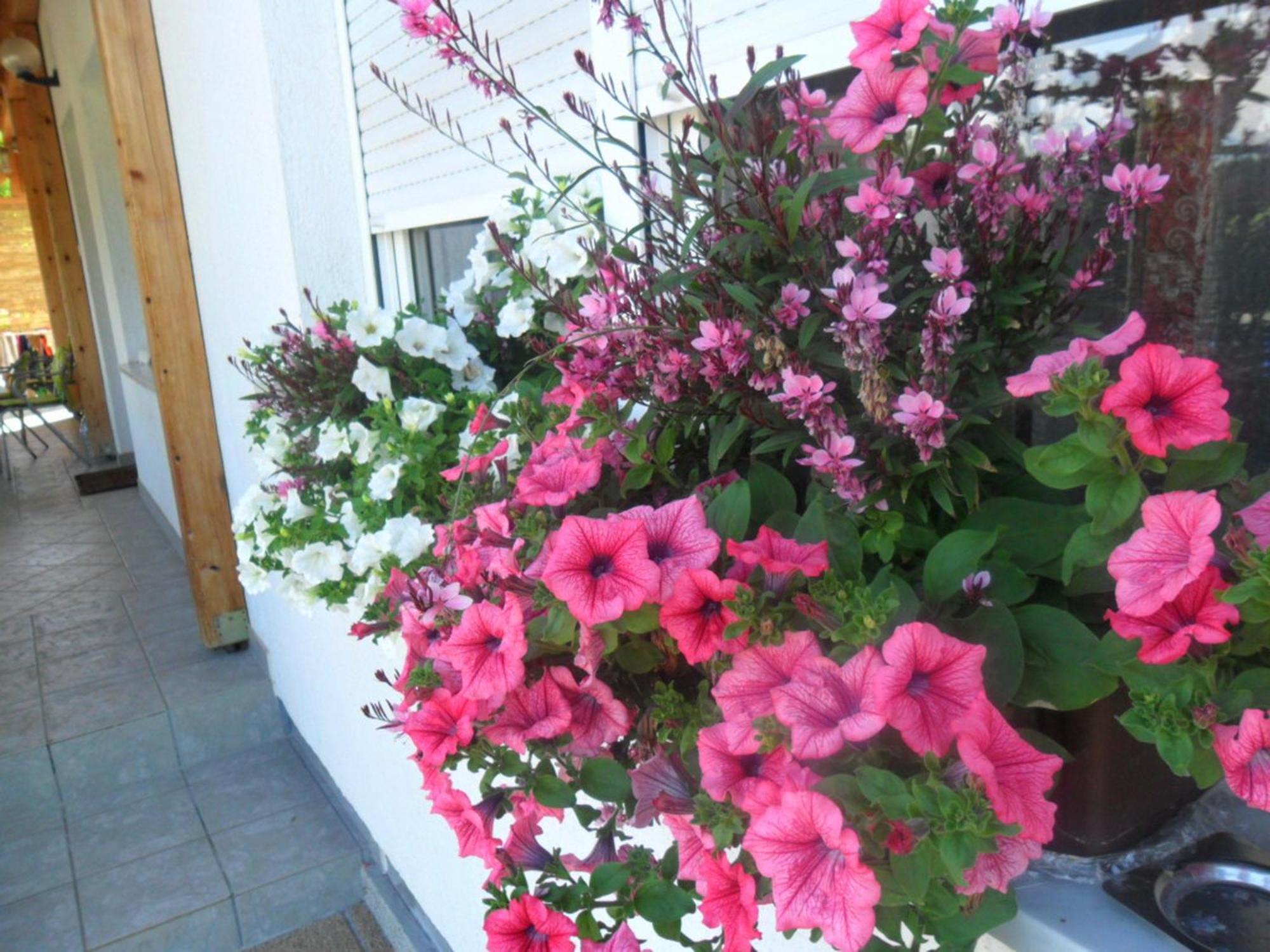 Guesthouse Sara กราโบวาซ ภายนอก รูปภาพ
