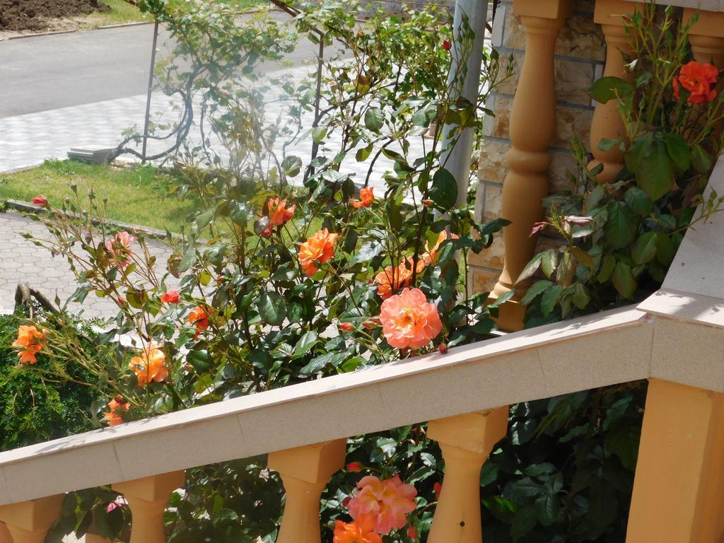 Guesthouse Sara กราโบวาซ ภายนอก รูปภาพ